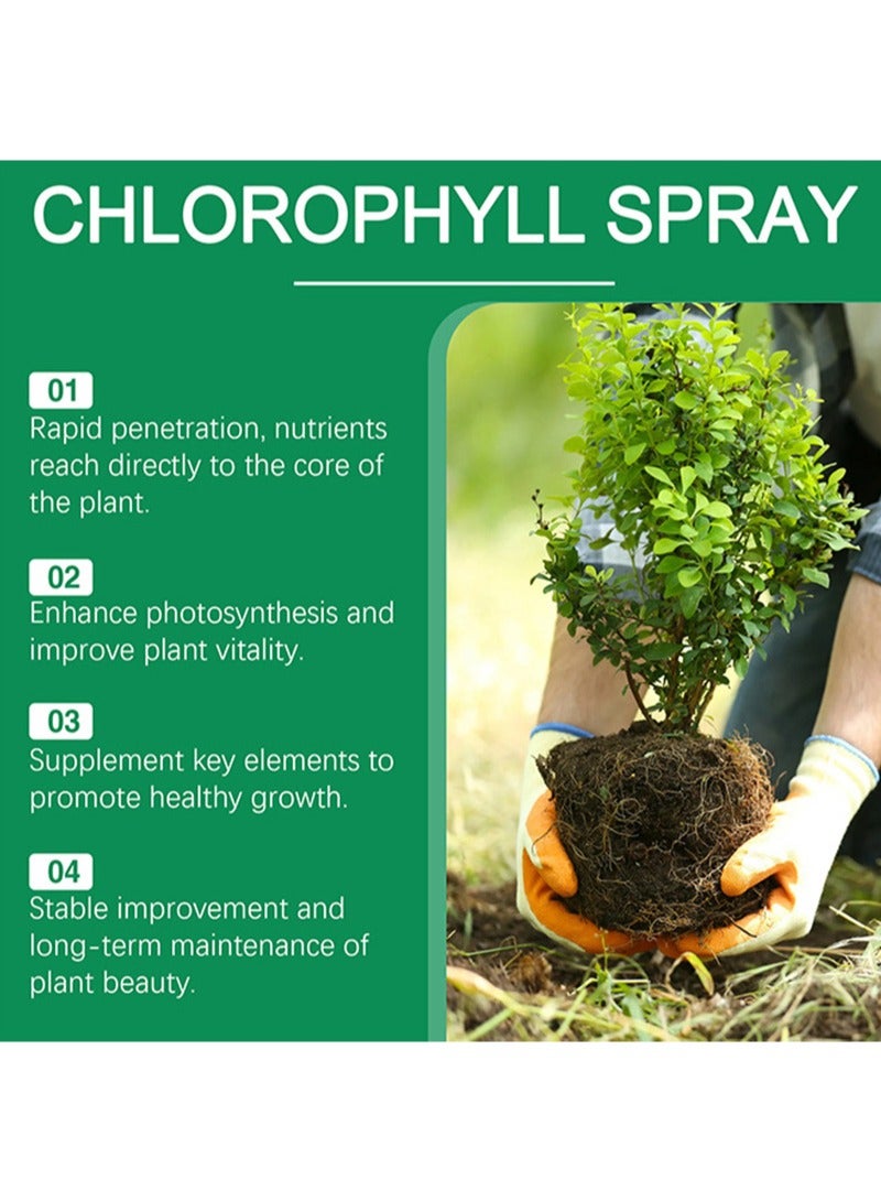 MOONSPRY 2Pcs Chlorophyll Spray，Seedling And Cutting Growth Promoter Universal Whole Plant Nutrient Solution，Flowers，Plants，Fruits，Trees，Green Plants，Green Leaves（100ml+100ml）  - Image 4