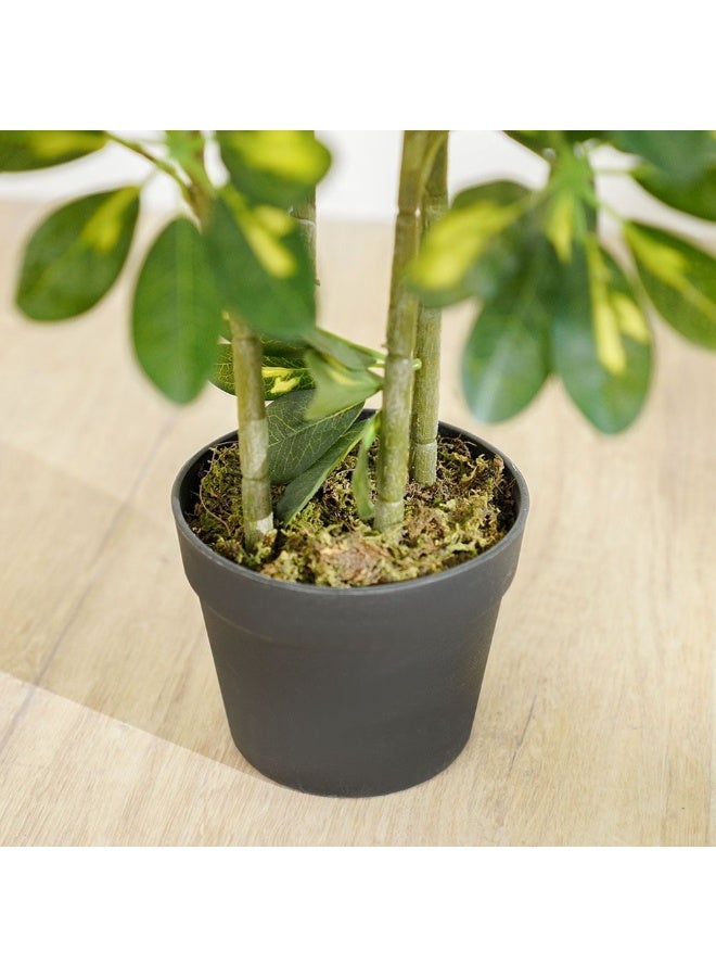 DANUBE HOME New Umbrella Plant - 120 cm - Image 3