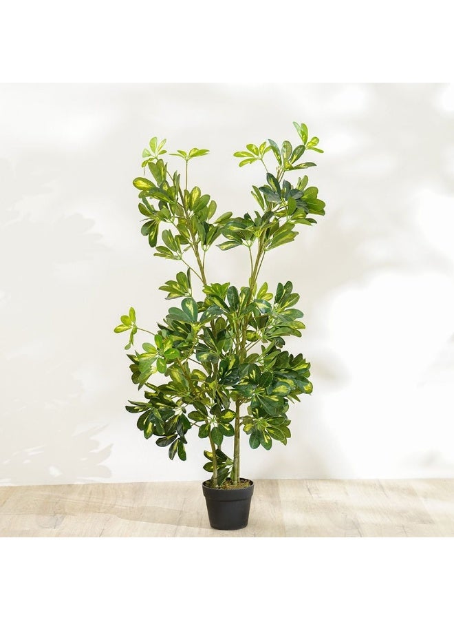 DANUBE HOME New Umbrella Plant - 120 cm - Image 1