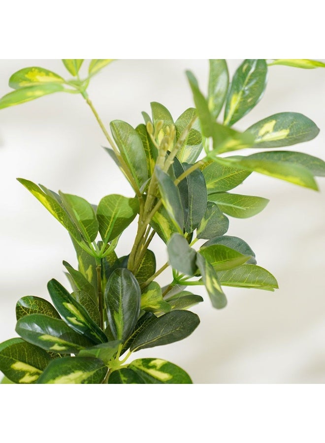 DANUBE HOME New Umbrella Plant - 120 cm - Image 2