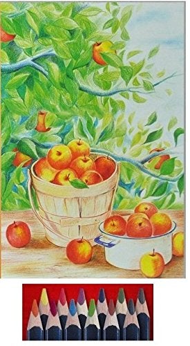 Koh-I-Noor Triocolor Artist's Quality Coloured Pencils - Set of 12 Assorted Colours in Tin Box - Image 2