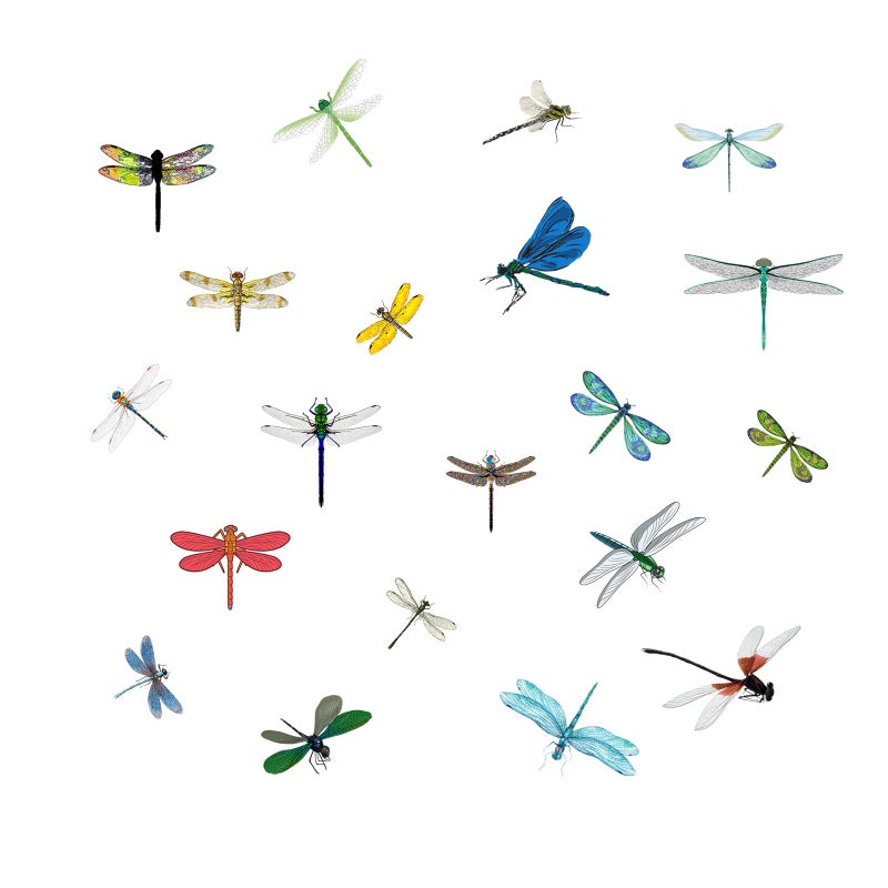 Small Size AntiCollision Window Clings  Glass Reminder Static Decals  Avoid Birds Strikes  Decorate Your Glass Doors 20 Pieces Colorful Dragonfly
