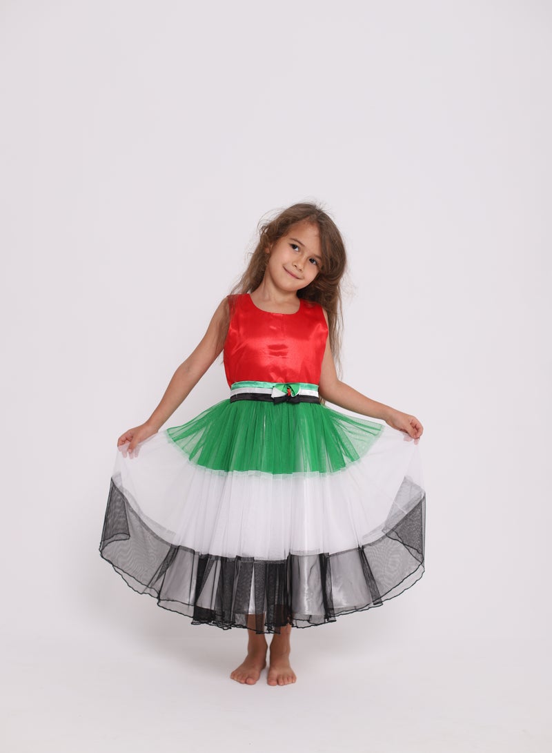 D'Daniela UAE National Day Flag Dress  - Image 1