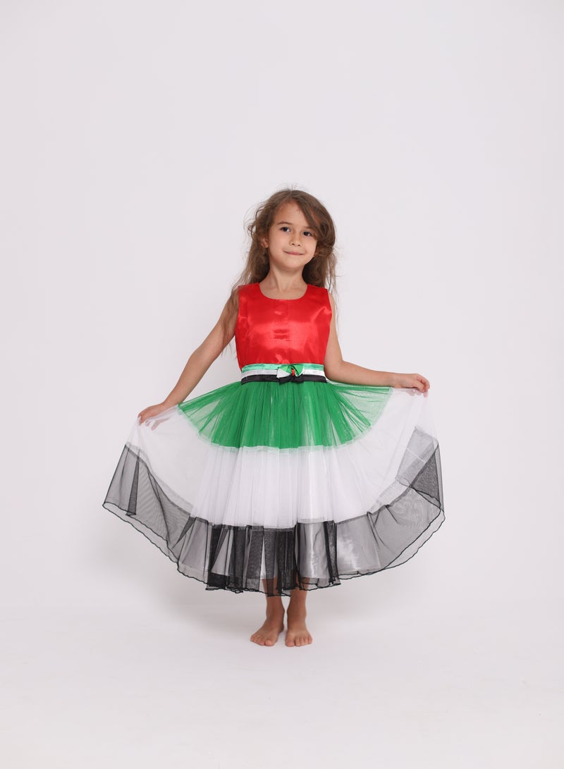 D'Daniela UAE National Day Flag Dress  - Image 3