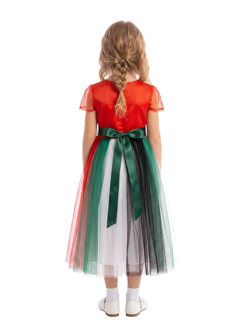دىدانيالا UAE National Day Amara Dress Collection