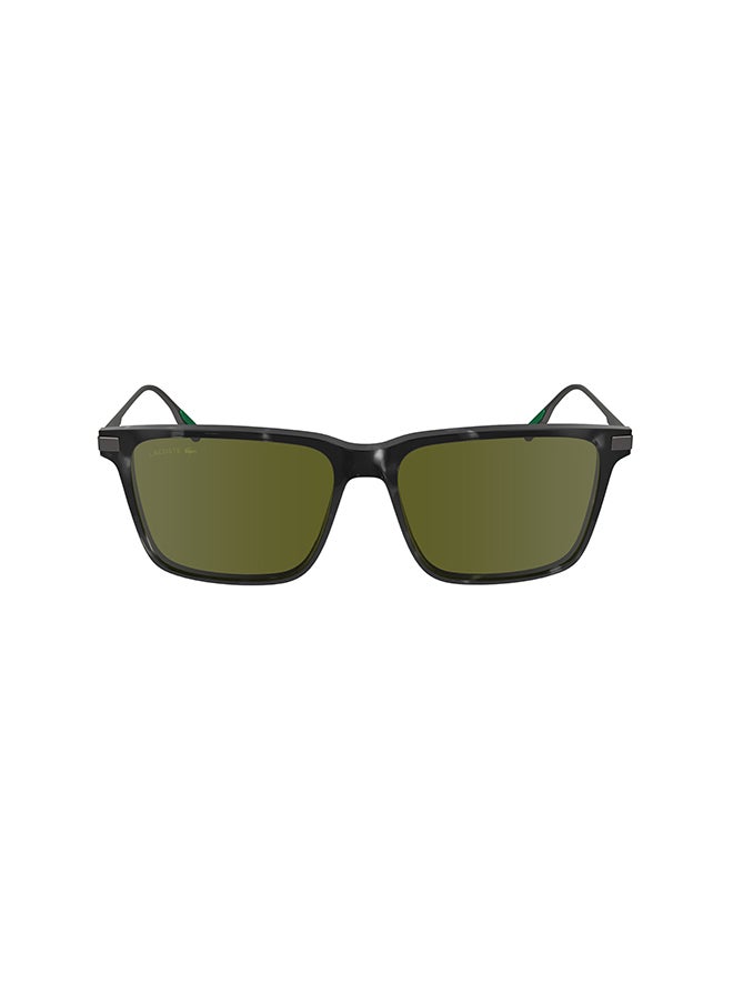 Men's UV Protection Rectangular Sunglasses - L6017S-240-5517 - Lens Size: 55 Mm - pzsku/ZD0A4AB68F151B71CF336Z/45/_/1711102783/438b8d81-17ba-44c6-8225-a51a823c51ce