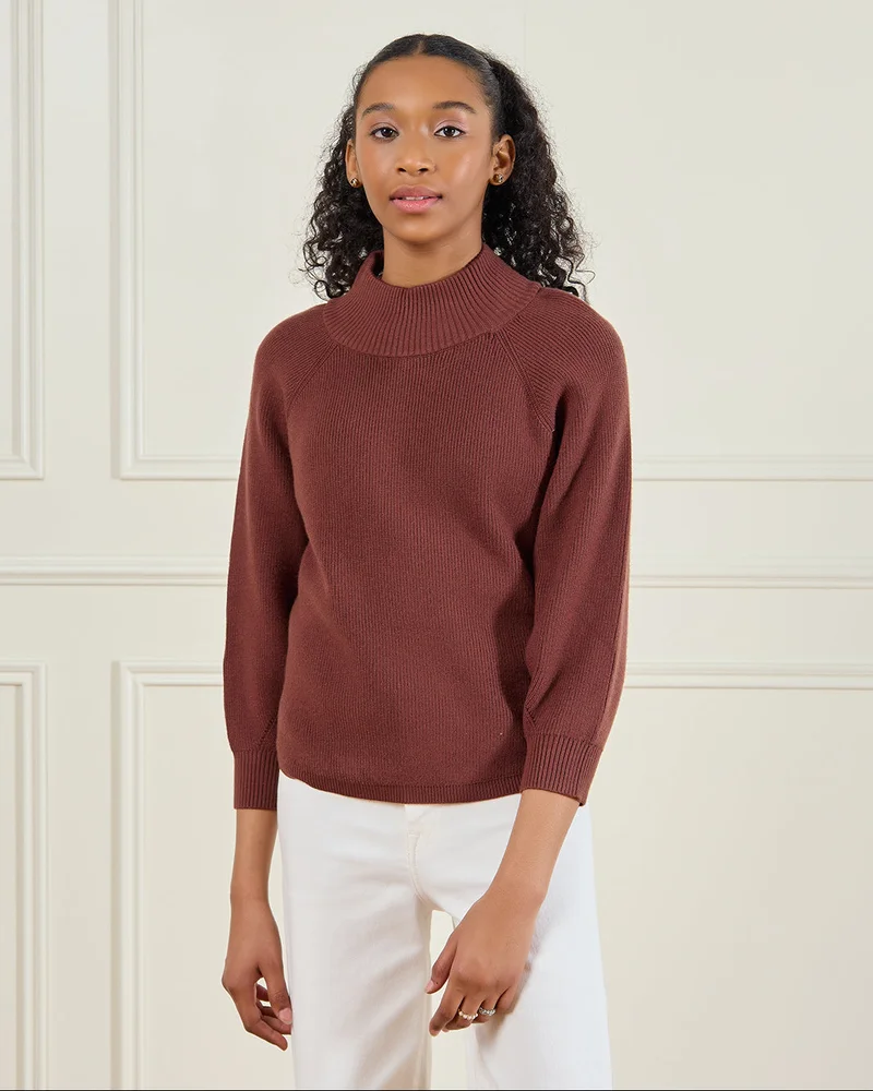 ردتاغ Senior Girls Brown Plain High Neck Pullover
