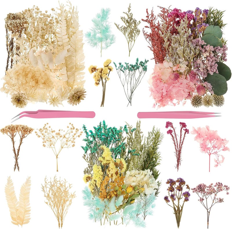Comkrivy Real Dried Flowers 100% Natural Dried Flowers, Mixed Colors Dried Leaf Flowers for DIY Arts and Crafts Candles Resin Jewelry Nail Pendant Cards Scrapbooking Wedding Home Decoration (Blue) - Image 1