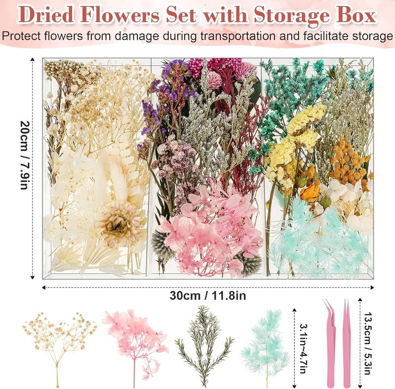 Comkrivy Real Dried Flowers 100% Natural Dried Flowers, Mixed Colors Dried Leaf Flowers for DIY Arts and Crafts Candles Resin Jewelry Nail Pendant Cards Scrapbooking Wedding Home Decoration (Blue) - Image 2