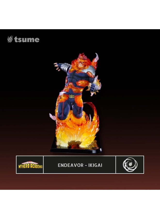 Tsume IKIGAI-ENDEAVOR 