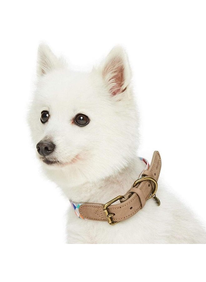 Blueberry Pet Blueberry Pet Shades of Rainbow Multicolor Triangles Genuine Full Grain Leather & Polyester Combo Adjustable Dog Collar, Large, Neck 18"-22"  - Image 2