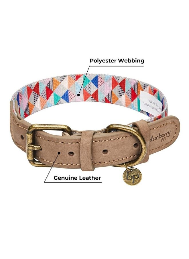 Blueberry Pet Shades of Rainbow Multicolor Triangles Genuine Full Grain Leather & Polyester Combo Adjustable Dog Collar, Large, Neck 18"-22" - pzsku/ZD0AD327595B5034098F6Z/45/_/1737031619/73ecb216-9fed-472c-81e2-4a2c0e476341