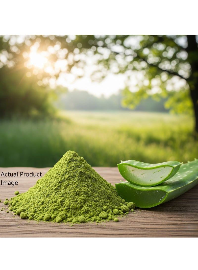 مملكة الإكسسوارات مسحوق الصبار (250 غرام) - طبيعي 100% | مناسب للشعر والبشرة | يرطب فروة الرأس، يقلل من القشرة، ويغذي البشرة | يهدئ التهيج، ويمنحها إشراقة وترطيبًا | خالٍ من المواد الكيميائية - Image 4