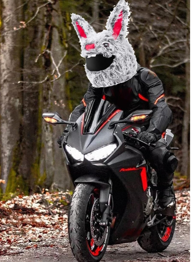 Generic Plush motorcycle helmet cover, funny cartoon helmet cover, full face helmet dust cover, evil gray rabbit motorcycle helmet cap, suitable for most full face helmets (excluding helmets) - Image 3
