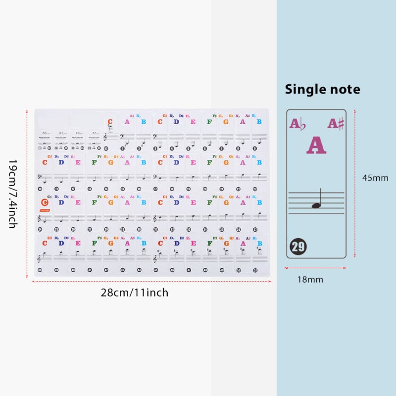 Colorful Transparent Piano Sticker - Removable PVC Keyboard Note Labels for 61 or 88 Keys - Vibrant Color Coding for Beginners and Children - Image 4