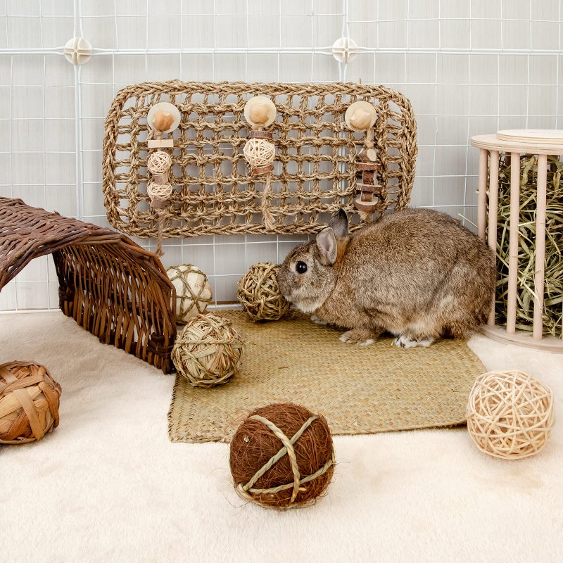 andwe Small Animals Play Balls Rolling Chew Toys & Gnawing Treats for Rabbits Guinea Pigs Chinchilla Bunny Degus - Pet Cage Entertainment Accessories - Image 5