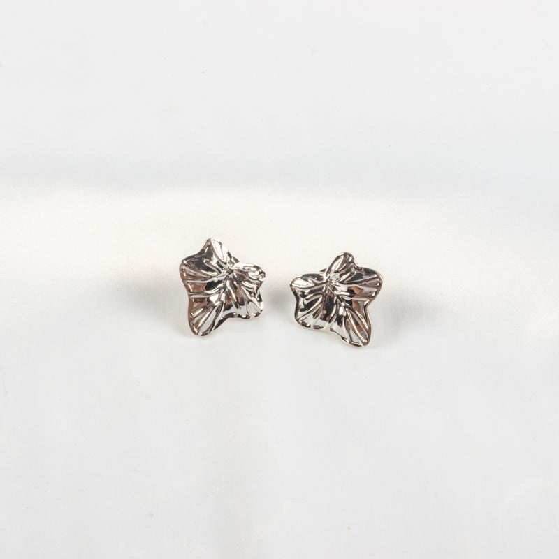 Silver Stainless Steel Earring - Image 1