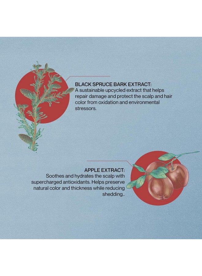 ناتشيور لاب توكيو بلسم ترميم الشعر من Saisei: تغذية خفيفة الوزن لشعر صحي ومرن، 11.5 أونصة - Image 4