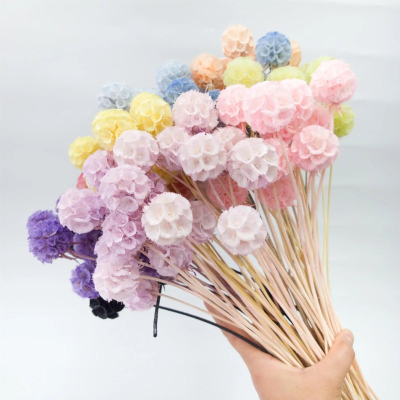Y&D Handmade European Real Flower Bouquet: Dried Windmill, Fruit, Starflower - Perfect Home Decor, Wedding, Back to School, Mother's Day Gift - Image 3