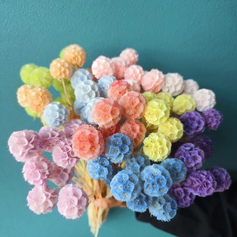 Y&D Handmade European Real Flower Bouquet: Dried Windmill, Fruit, Starflower - Perfect Home Decor, Wedding, Back to School, Mother's Day Gift - Image 2
