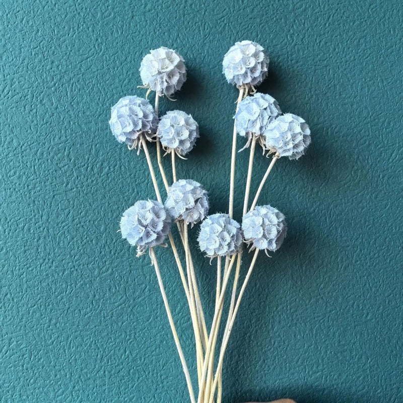 Y&D Handmade European Real Flower Bouquet: Dried Windmill, Fruit, Starflower - Perfect Home Decor, Wedding, Back to School, Mother's Day Gift - Image 1