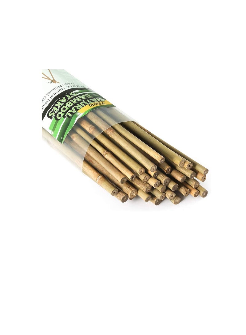 Pllieay Pllieay 25 Pieces Bamboo Stakes Garden Stakes for Indoor and Outdoor Gardening Plant Supports, 2 Feet  - Image 1