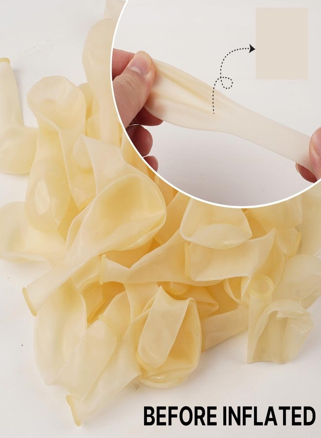 PartyWoo Clear Balloons 120 pcs Different Sizes of 18 12 10 5 Inch Transparent Bubble Latex Helium Balloon Arch Kit Garland for Graduation Wedding Baby Shower Birthday Party Decorations Clear-Y2 - Image 2
