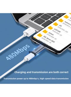 Generic Typec Female To Android Revolution Miniusb Connector Micro To Lighting Conversion Head For Apple Hand-Color:Type—c Female To Apple Male [abs White]★12w Standard Model-2 Pack  - Image 2