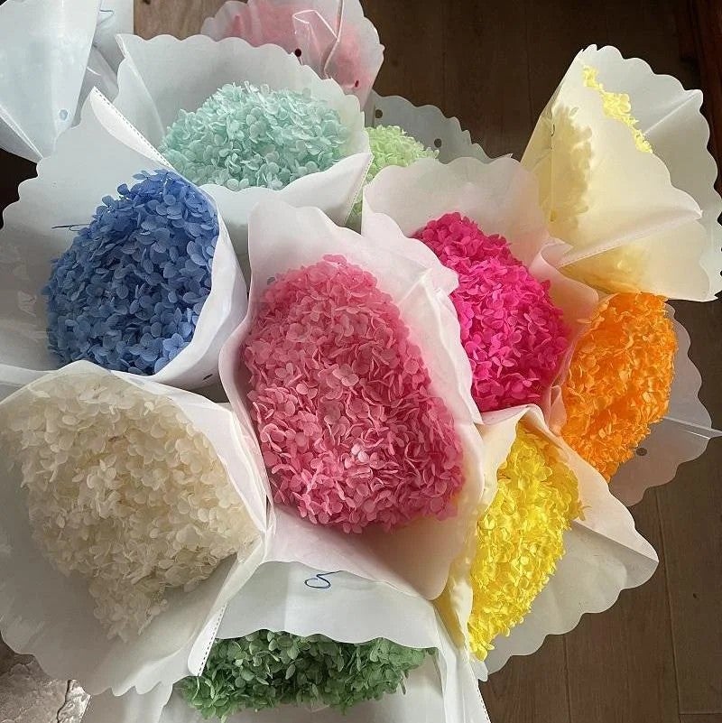 Bluejw Sale Preserved Dried Flowers Anna Hydrangea for Wedding Bouquet Decorations – Natural Dried Plants for DIY Handmade Arrangements - Image 2