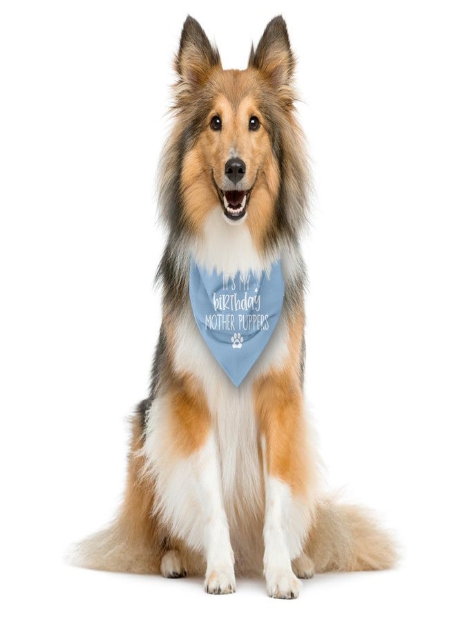 ZPPRJF Dog Birthday Bandana, Baby Blue Dog Bandana, Dogs Birthdays Gift, Dogs Birthdays Outfit, It's My Birthday Mother Puppers, Gift for Pet Lover - Image 3