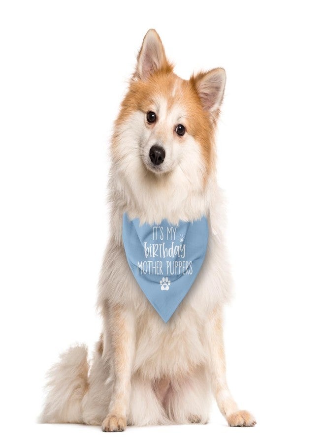 ZPPRJF Dog Birthday Bandana, Baby Blue Dog Bandana, Dogs Birthdays Gift, Dogs Birthdays Outfit, It's My Birthday Mother Puppers, Gift for Pet Lover - Image 2