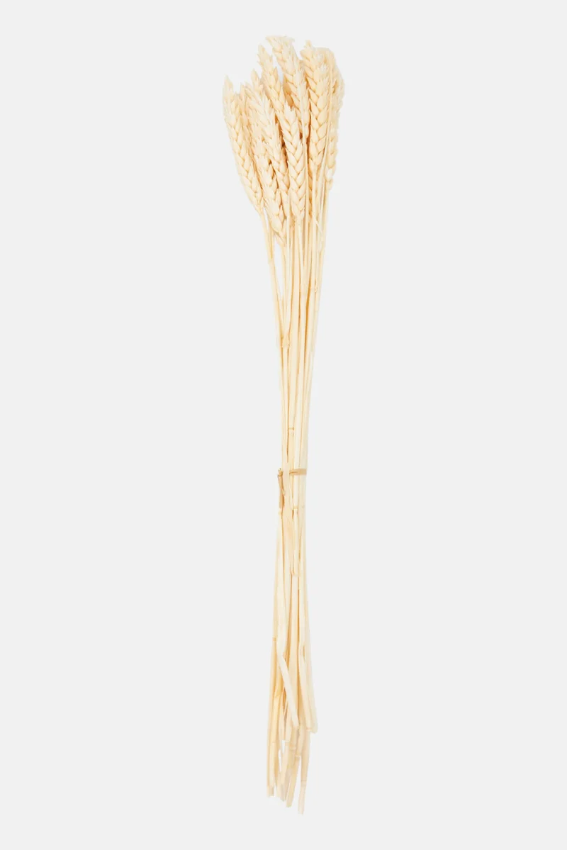 موي موتشو Assorted Dried Flower 50cm, Pink Combo