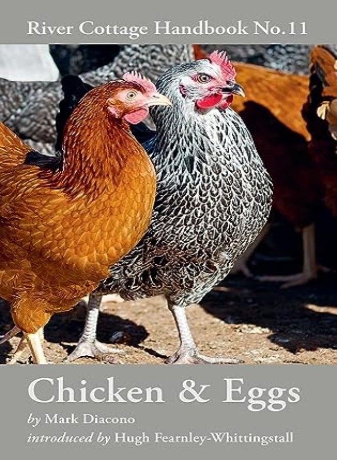 Chicken & Eggs: River Cottage Handbook No.11