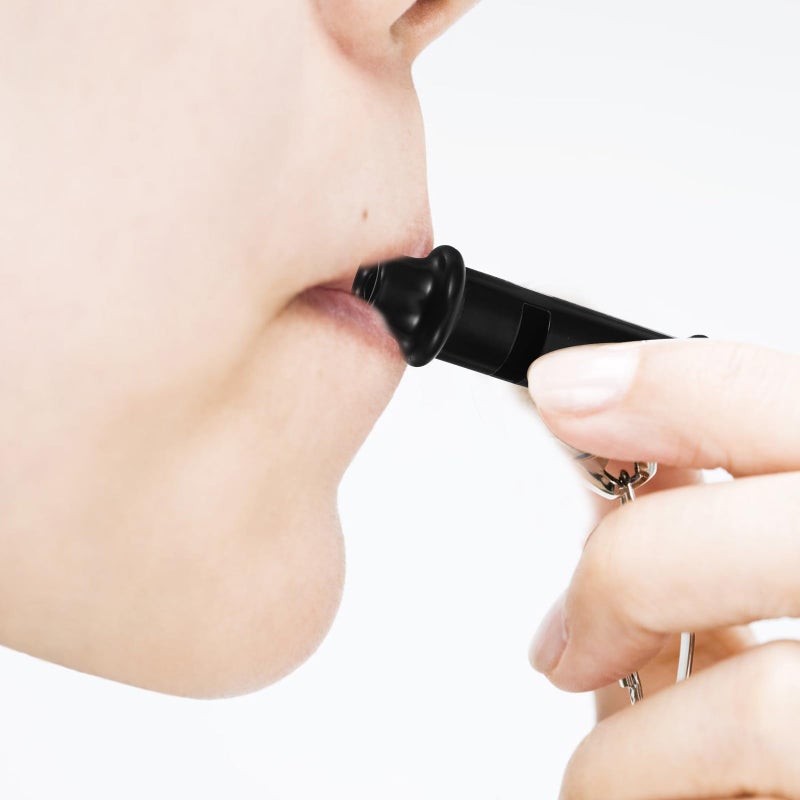 Metal Silent Dog Whistle for Training Stop Barking Recall Tool with Hanging Ring - Image 5