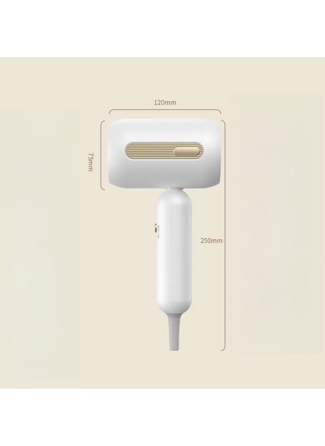 WAOKN - Professional Ionic Hair Dryer, Powerful 1900W Fast Drying Low Noise Blow Dryer with Ionic hair dryer Quick-drying hair dryer Mute hair dryer hair dryer Portable hair dryer Silent Dry hair quickly - Image 1