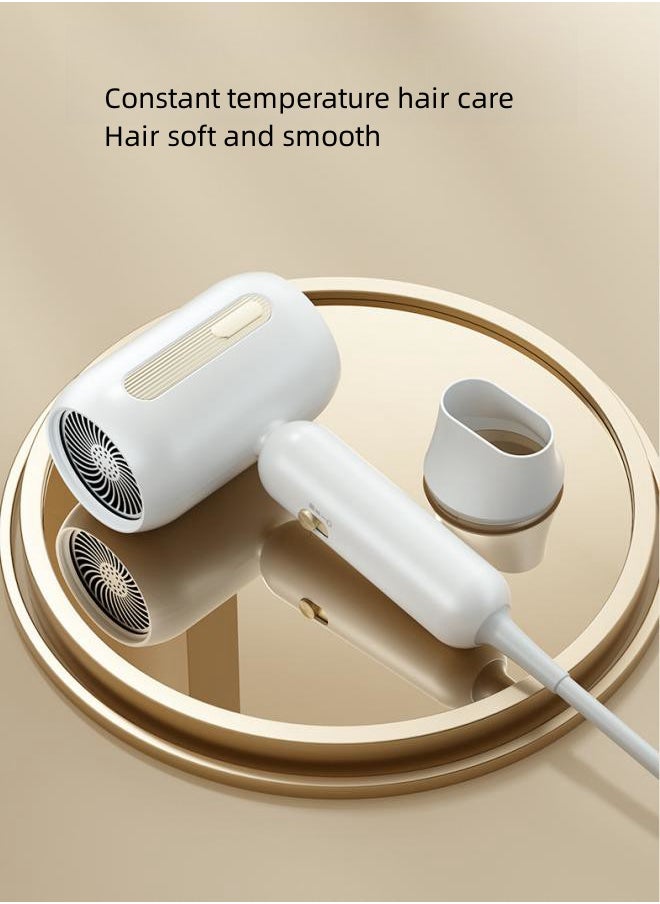 WAOKN - Professional Ionic Hair Dryer, Powerful 1900W Fast Drying Low Noise Blow Dryer with Ionic hair dryer Quick-drying hair dryer Mute hair dryer hair dryer Portable hair dryer Silent Dry hair quickly - Image 1