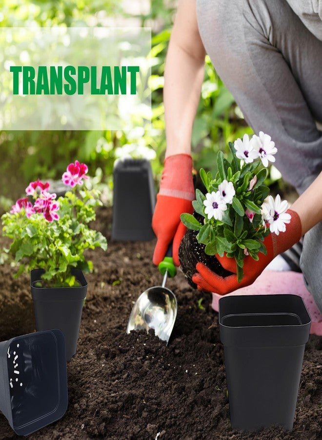 RooTrimmer 10 cm 4 inches Square Nursery pots 60P, Seedling Plastic Seeds propogation Growing pots Black - Image 5