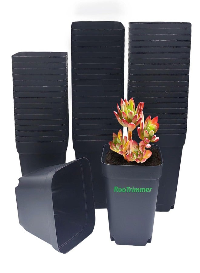 RooTrimmer 10 cm 4 inches Square Nursery pots 60P, Seedling Plastic Seeds propogation Growing pots Black - Image 1
