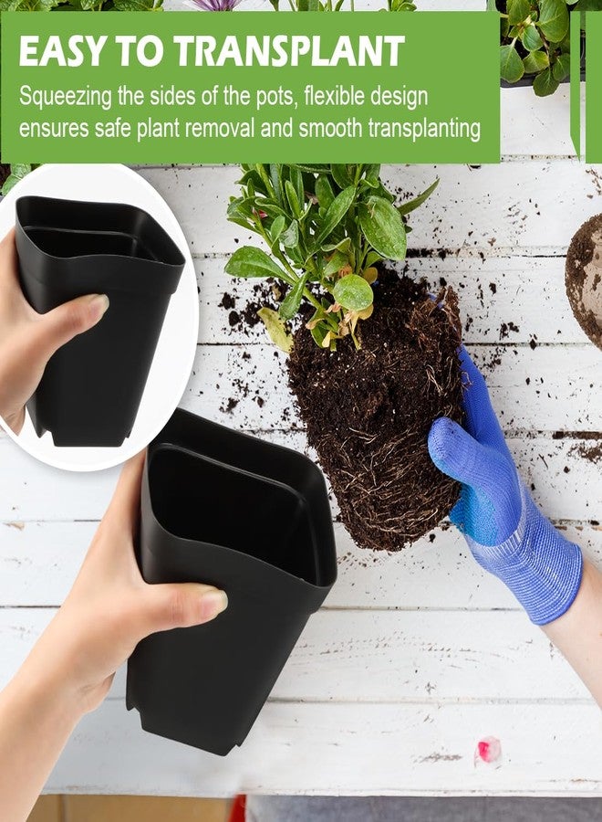 RooTrimmer 10 cm 4 inches Square Nursery pots 60P, Seedling Plastic Seeds propogation Growing pots Black - Image 2