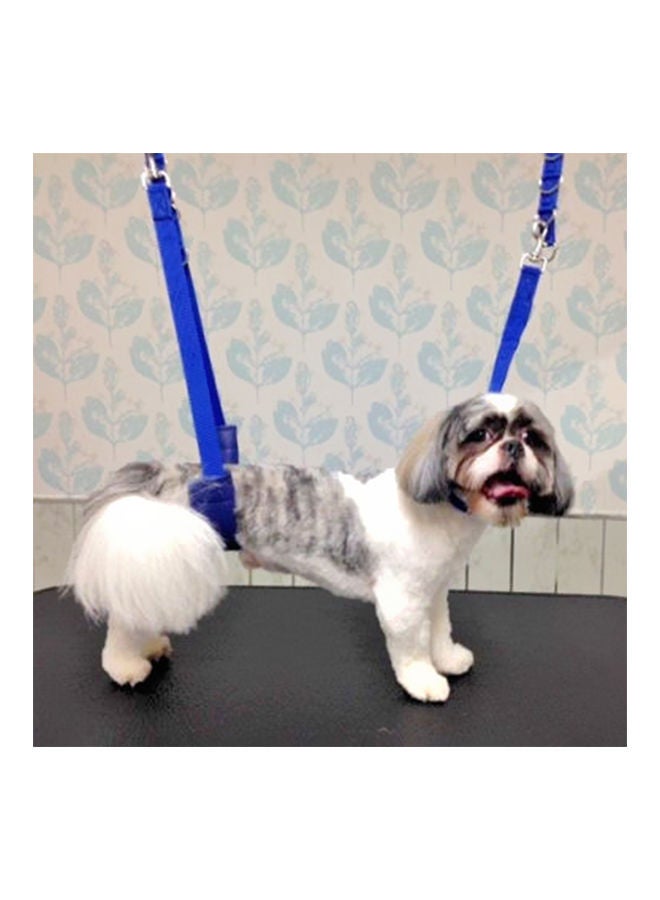 NIBEMINENT Adjustable Grooming Dog Belly Strap Black 1.38meter - Image 2