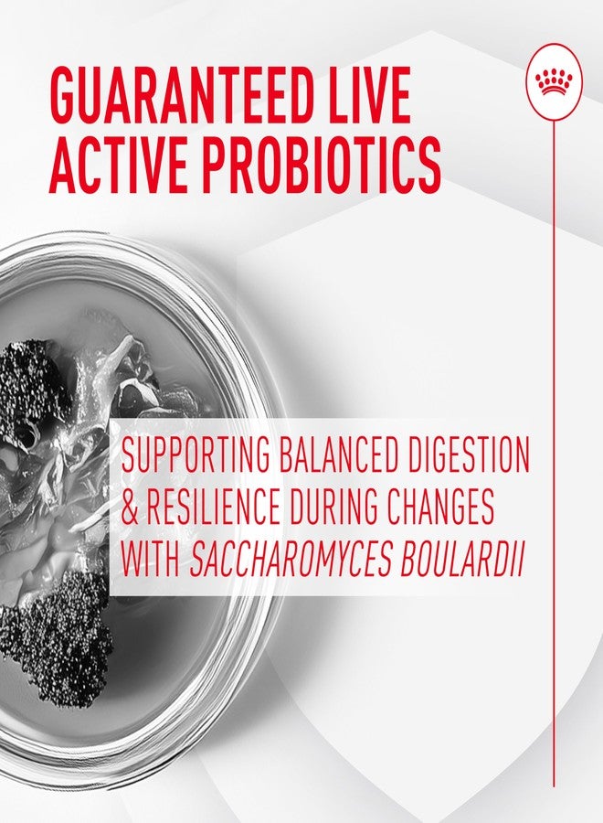 رويال كانين بروبيوتيك للقطط، مكمل غذائي بودرة لصحة الجهاز الهضمي والمناعة للقطط من جميع الأعمار، 7 أقراص - Image 3