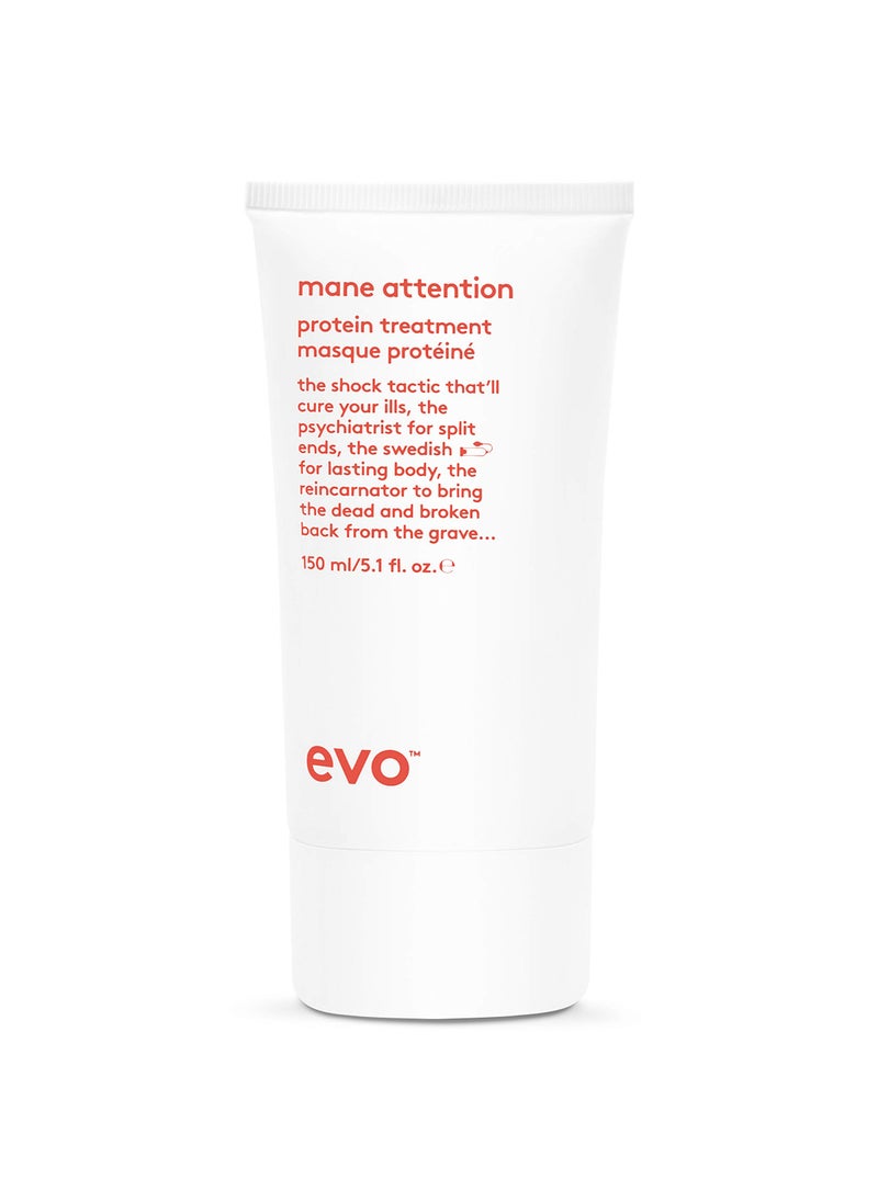 EVO Evo- mane attention protein treatment 150ml  - Image 1