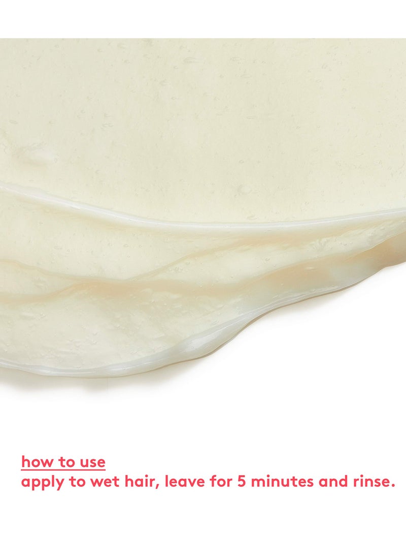EVO Evo- mane attention protein treatment 150ml  - Image 4