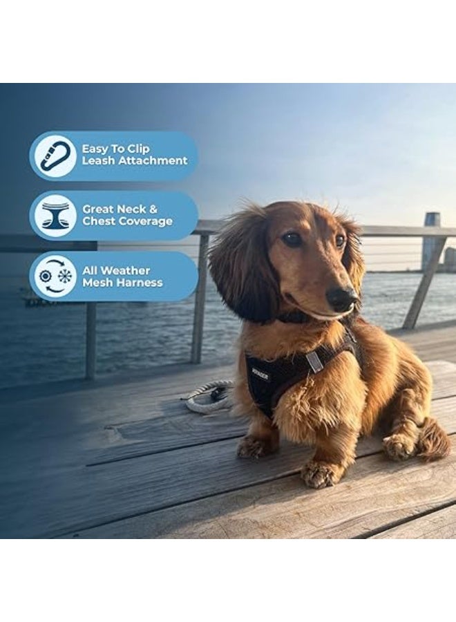 فوييجر سرج ستيب ان اير للكلاب من فوييجر، سرج شبكي عاكس مقاوم لجميع الأحوال الجوية، مناسب للكلاب الصغيرة والمتوسطة والقطط، سرج مثبت بشريط فيلكرو لاصق ومشبك بحلقات مزدوجة على شكل D، لون أسود، مقاس صغير - Image 5