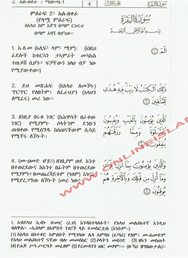 DAR AL SALAM - Interpretation of the meanings of the Holy Quran in Amharic 24*17 - Image 1