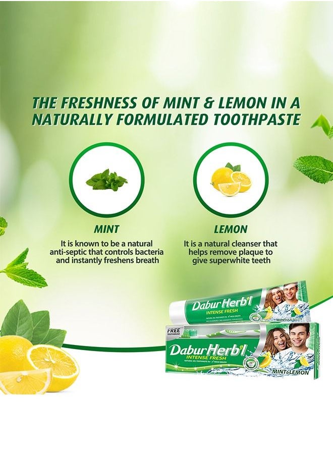 Dabur - Dabur Herbal Cavity Protectection Clove Toothpaste | Enriched with Clove | Natural Toothpaste For Cavity Free Strong Teeth - 150g + Toothbrush (Pack of 3) - Image 1