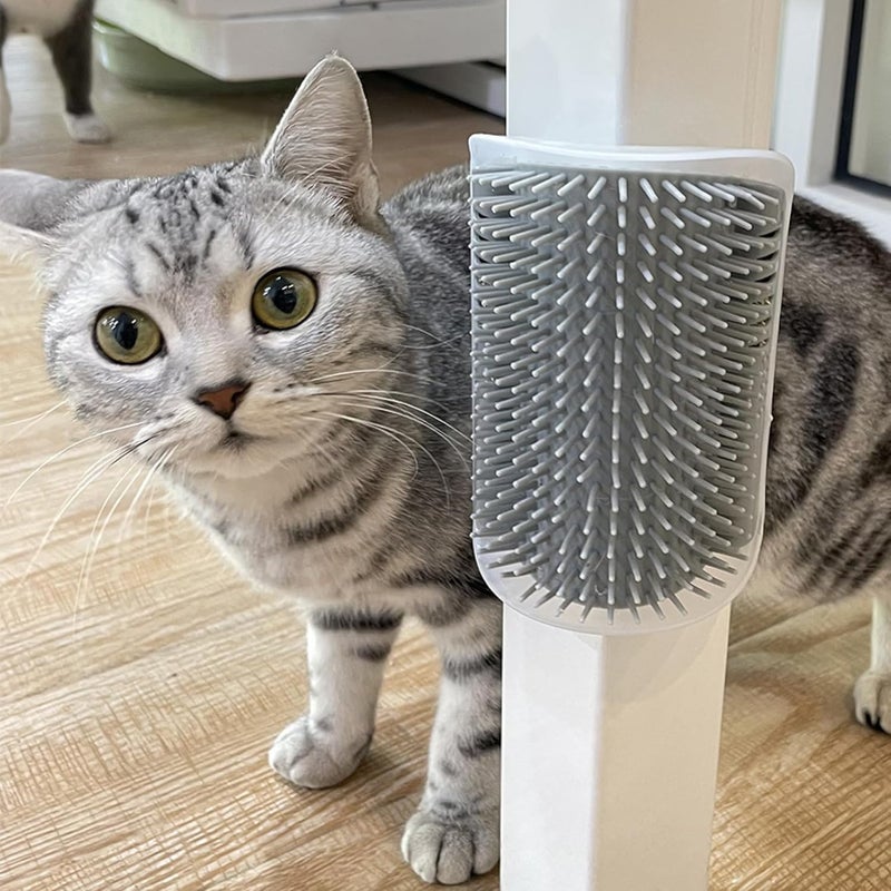 PET FUN Cat Self Groomer Wall Corner Groomer Soft Grooming Brush | Ideal for Short & Long Fur Cats Scratcher, Gentle Massage Brush with Catnip for Dog, Kitten & Puppy - Image 2