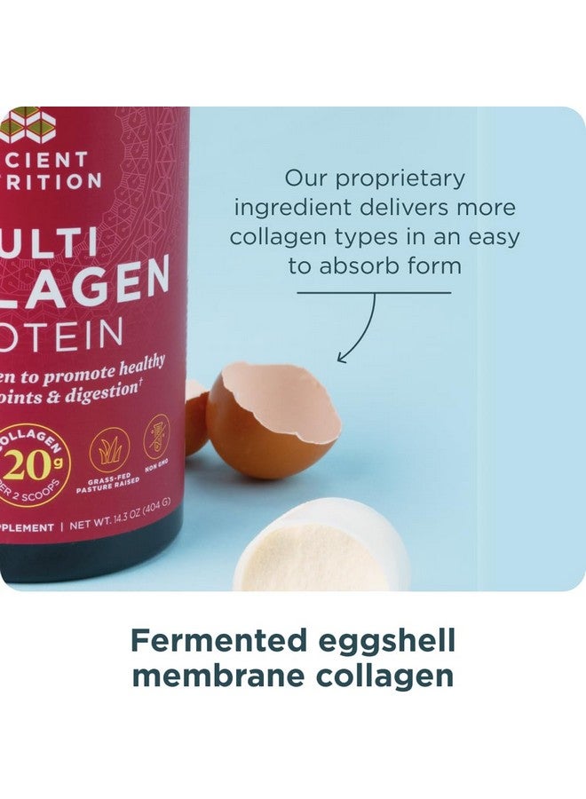 Ancient Nutrition مسحوق ببتيدات الكولاجين من أنشينت نيوترشن، بروتين متعدد الكولاجين، للنساء والرجال، فيتامين C، بروبيوتيك، كولاجين مهدرج، يدعم صحة البشرة والمفاصل والأمعاء، بدون نكهة، 40 حصة - Image 5