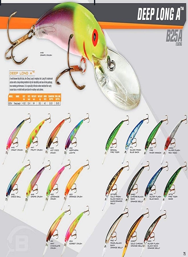 طعم صيد Bomber Lures Deep Long A B25A Slender Minnow Jerbait، معدات وإكسسوارات صيد، 3 1/2 بوصة، 3/4 أونصة، بنكهة الفواكه المنعشة - Image 2