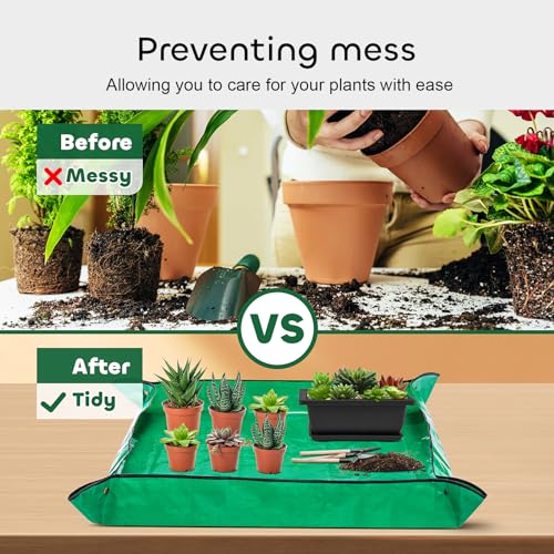 GROWNEER 6 Packs 6.5 Inch Bonsai Training Pots with Drainage Humidity Trays, Bonsai Tree Kits with 1 Repotting Mat, Growing Planter for Garden, Yard, Balcony, Office, Indoor, Outdoor - Image 5